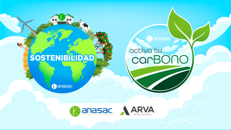 Home 13 Activa tu carbono Blog 01