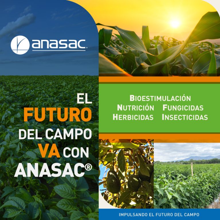 Home 2 Banner home movil